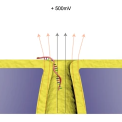 Research Interest - Nanoelectrokinetics