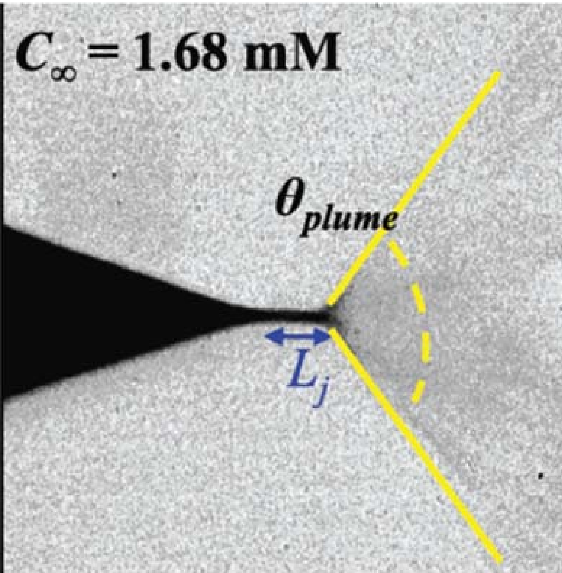 Research Interest - Nanoelectrokinetics